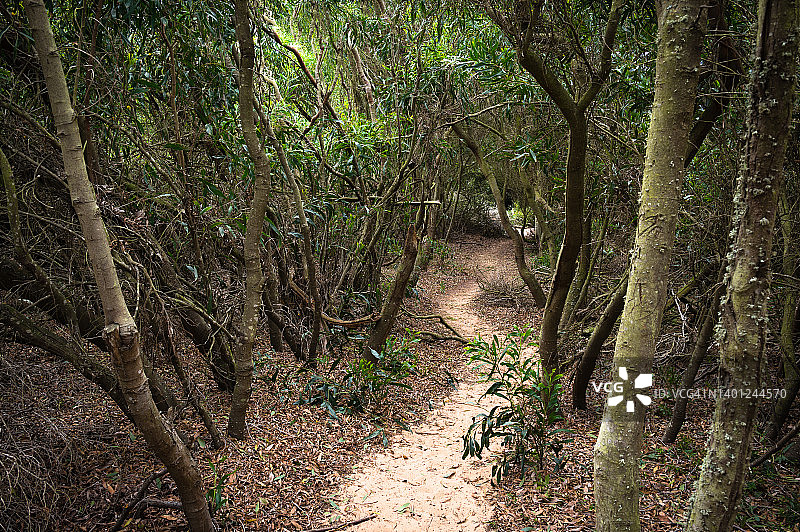 葡萄牙西南部维森蒂娜之路图片素材