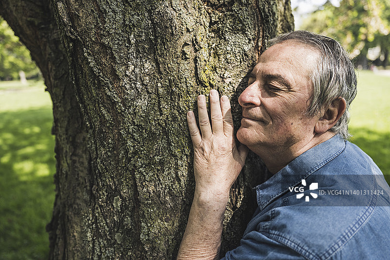 微笑的老年男人在公园里拥抱树木图片素材
