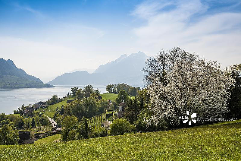 瑞士琉森湖韦吉斯附近埃吉斯比尔教堂湖光山色全景图片素材