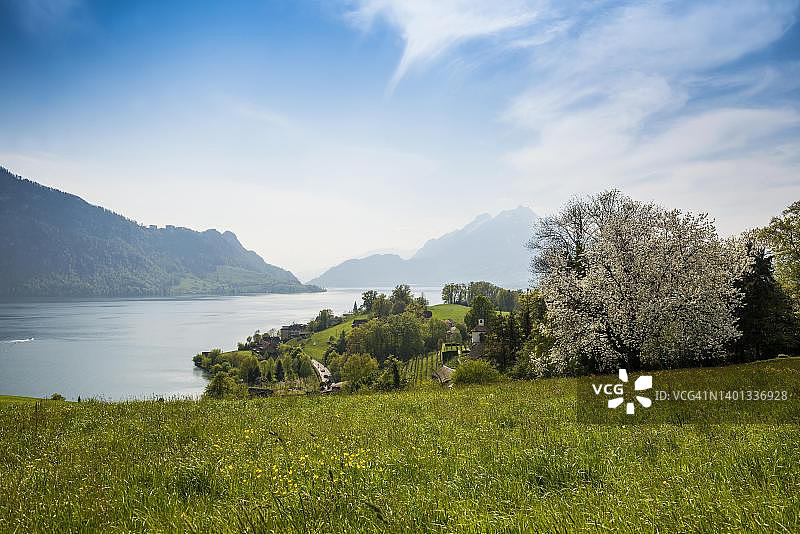 瑞士琉森湖韦吉斯附近埃吉斯比尔教堂湖光山色全景图片素材