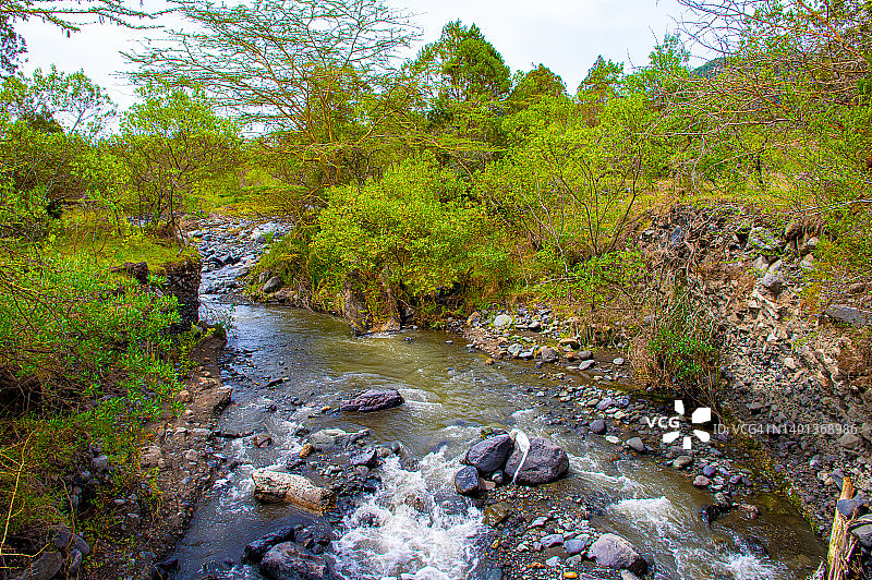 阿鲁沙国家公园的溪流，坦桑尼亚图片素材