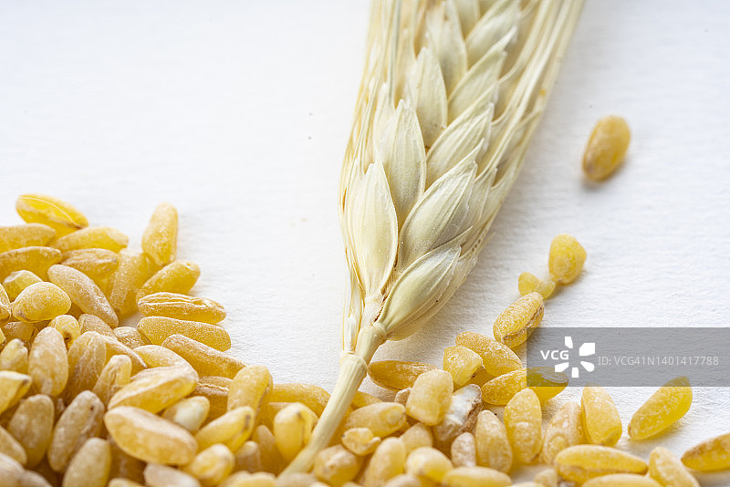 小麦谷粒和麦穗图片素材