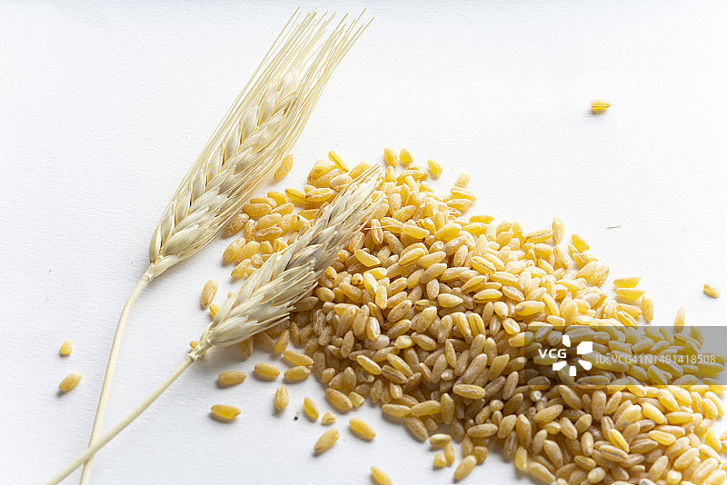 小麦谷粒和麦穗图片素材