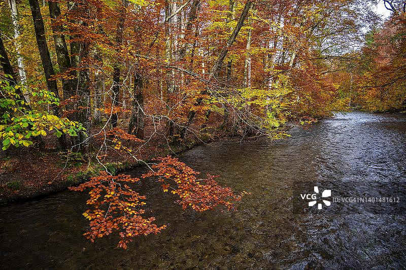 德国巴伐利亚 Gauting 附近 Wuermtal 的 Wuerm 河秋景图片素材