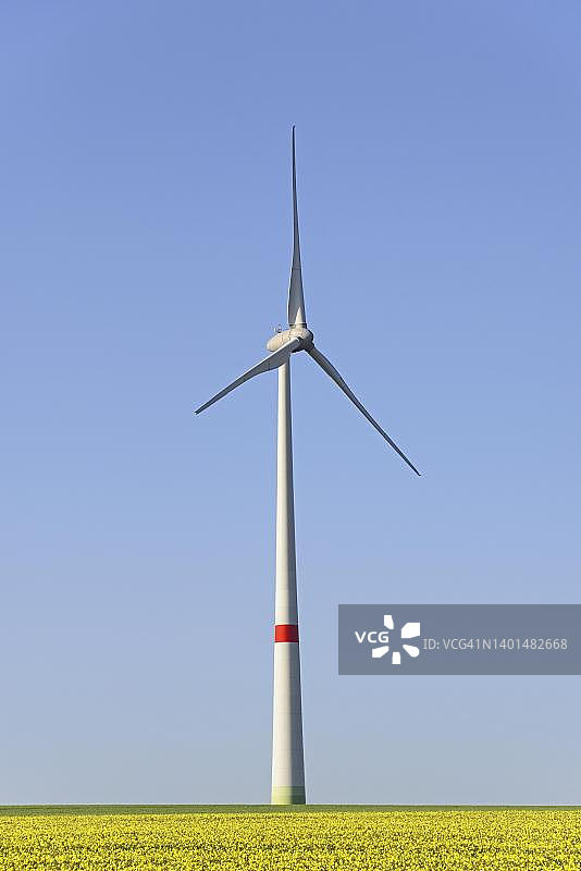 盛开的油菜田中的风力涡轮机，德国北莱茵-威斯特法伦州图片素材