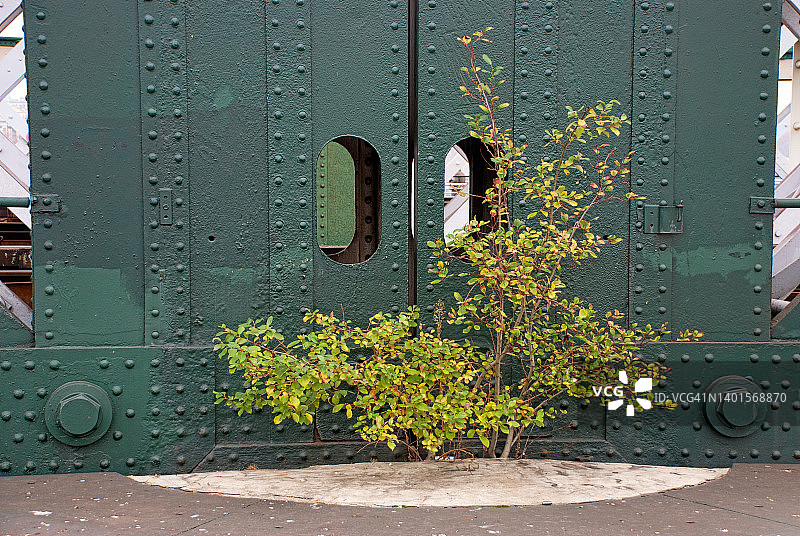 亨格福德桥图片素材