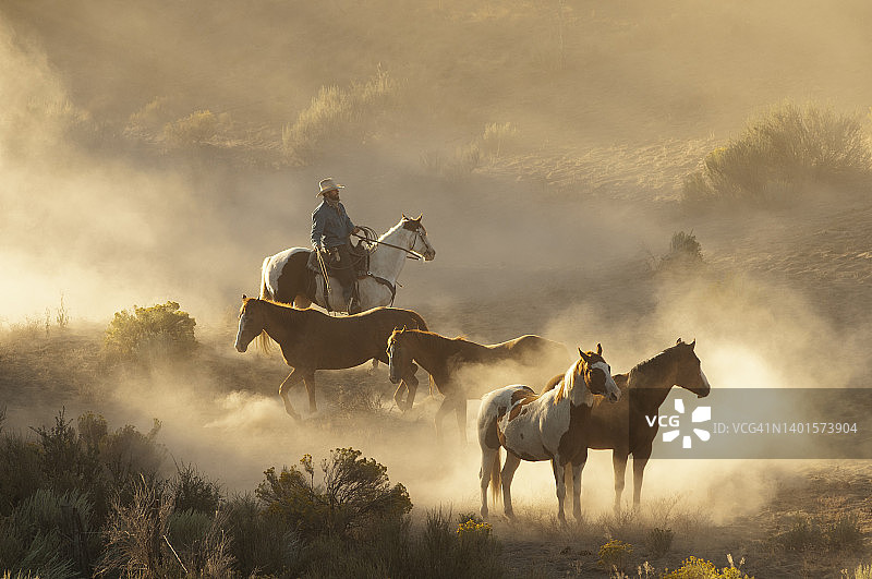 骑马放牧图片素材