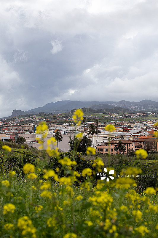 圣克里斯托瓦尔-德拉拉古纳风景，特内里费岛旅游图片素材