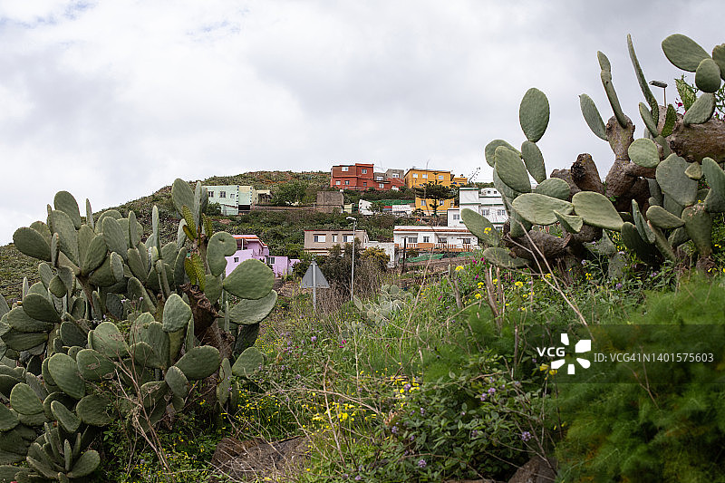 特内里费岛拉拉古纳乡村风光图片素材