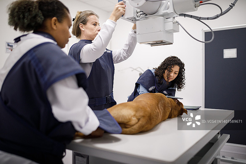 专业人士操作X光机图片素材