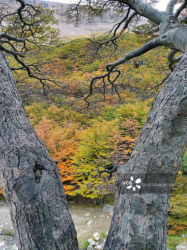 巴塔哥尼亚乌斯怀亚山区秋景图片素材