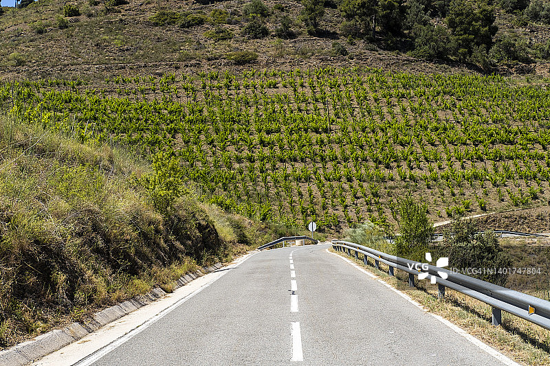 葡萄酒主题公路之旅图片素材