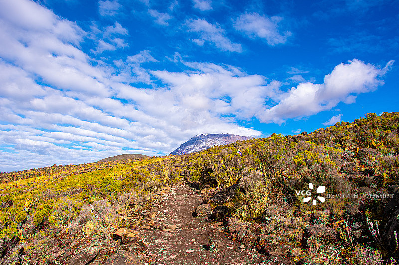 乞力马扎罗山的阿尔卑斯沙漠，从霍隆博小屋营地到基博小屋营地，坦桑尼亚图片素材