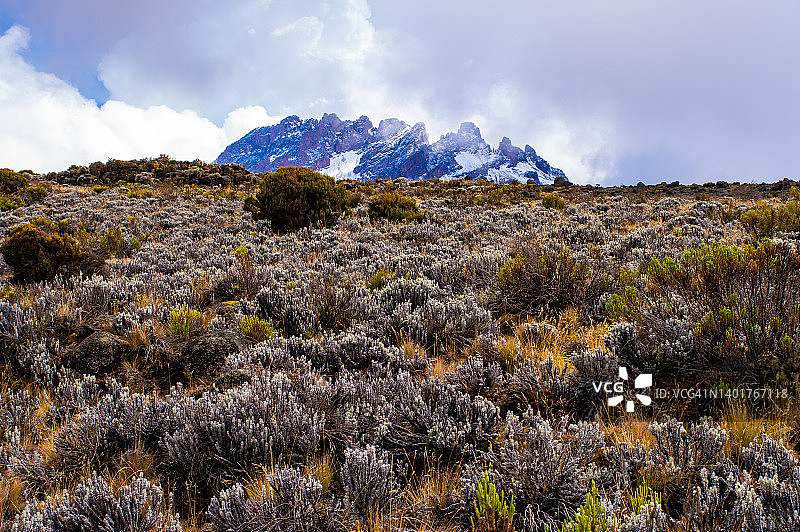 乞力马扎罗山的阿尔卑斯沙漠，从霍隆博小屋营地到基博小屋营地，坦桑尼亚图片素材