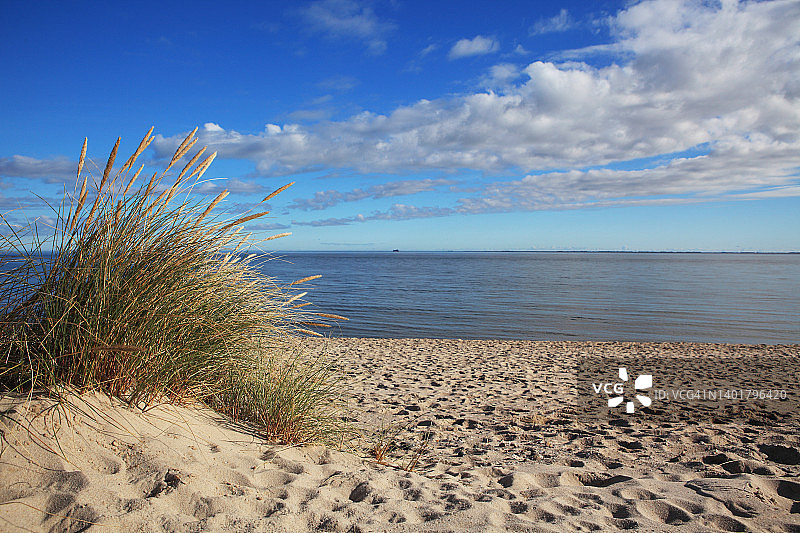 北海海滩上的草地图片素材