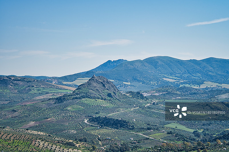 西班牙卡迪斯奥尔韦拉村周围的橄榄树林景观图片素材