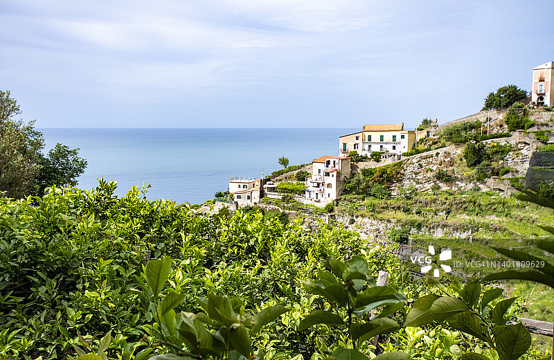 阿马尔菲海岸与柠檬种植图片素材