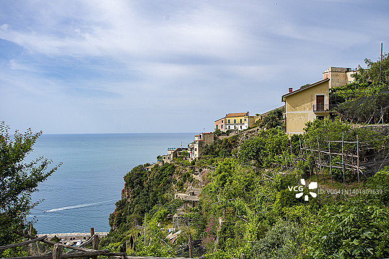 阿马尔菲海岸与柠檬种植图片素材