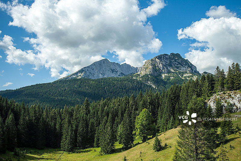 阳光明媚的山区，松林后的山峰图片素材