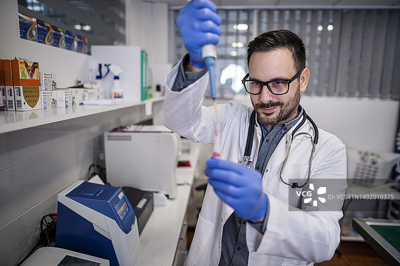 兽医在他的诊所进行分析图片素材