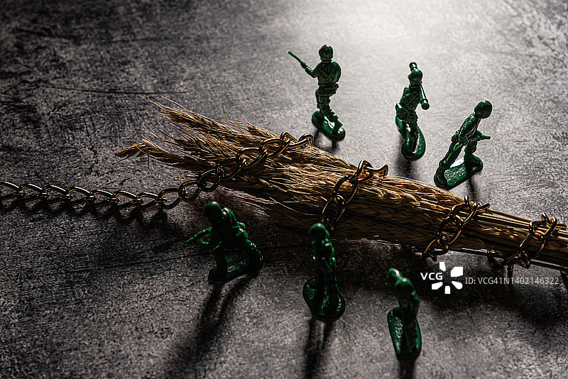 军队与小麦图片素材