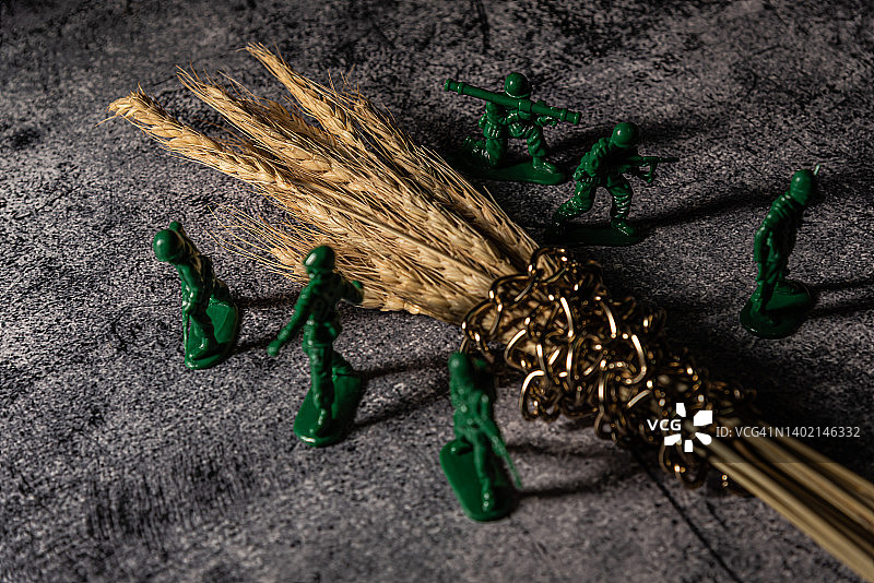 军队与小麦图片素材