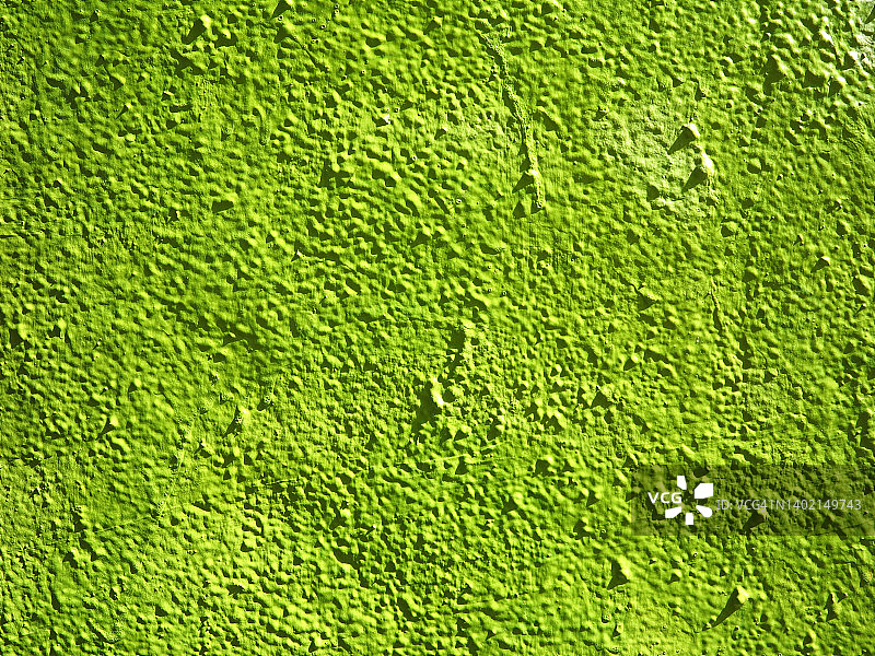 巴黎的绿色纹理混凝土墙图片素材