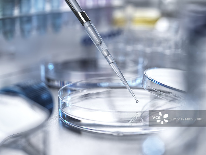 生物医学研究：在实验室中用移液管将样品移入培养皿图片素材