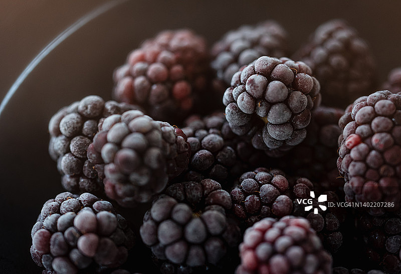 冰冻黑莓特写图片素材