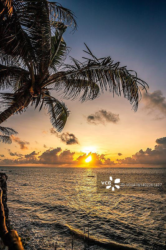 印度洋日落，肯尼亚蒙巴萨尼亚利海滩的棕榈树海景图片素材