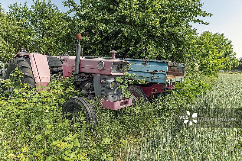 废弃在花园中的旧农用拖拉机，法国阿尔萨斯图片素材