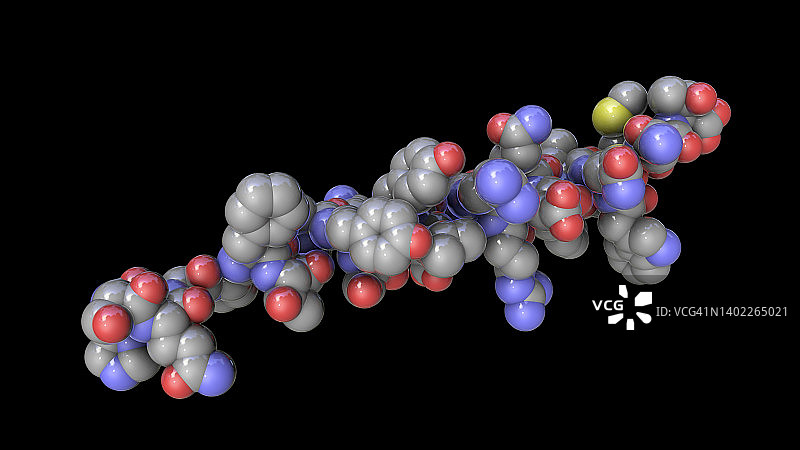胰高血糖素激素分子插画图片素材
