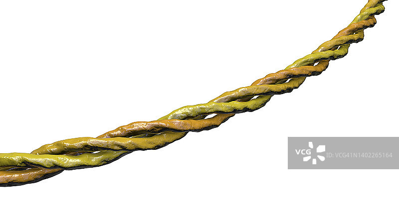 胶原蛋白三螺旋分子结构图图片素材