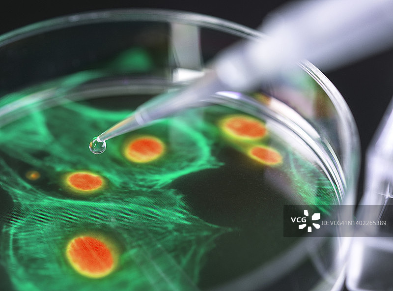 细胞研究合成图像图片素材