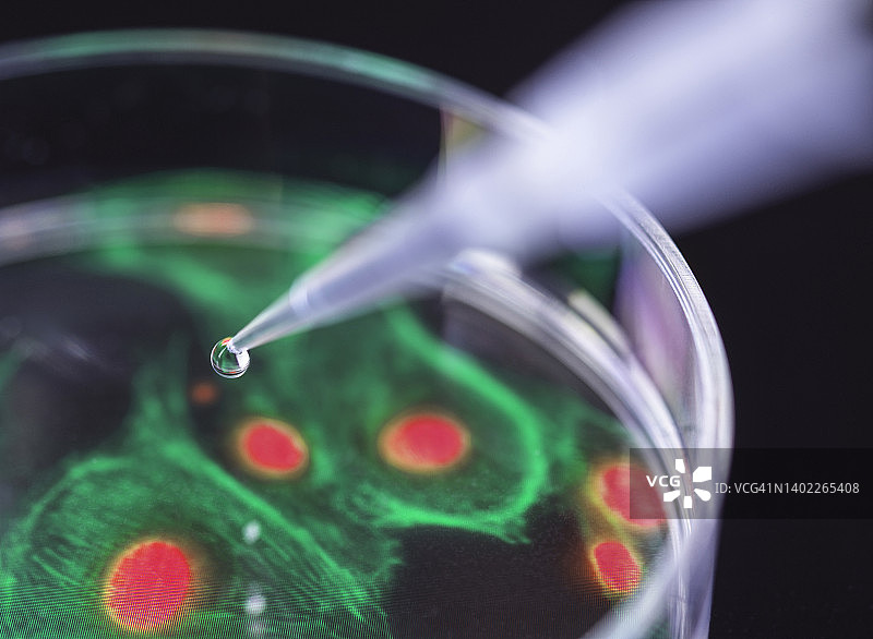 细胞研究合成图像图片素材