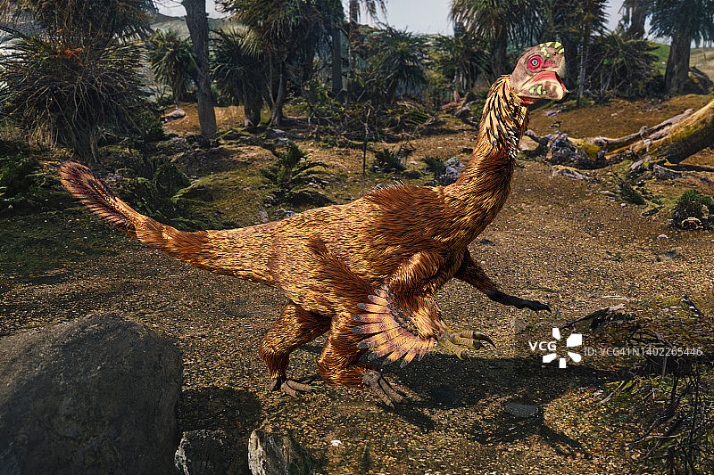 窃蛋龙插画图片素材