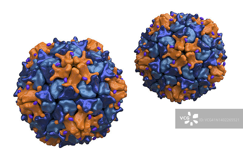 脊髓灰质炎病毒颗粒插图图片素材