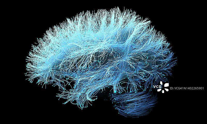 人脑神经束插图图片素材