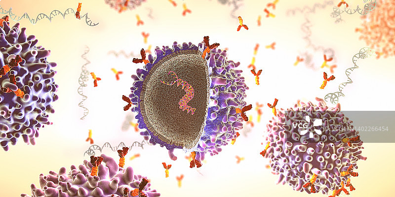 CAR-T细胞示意图图片素材