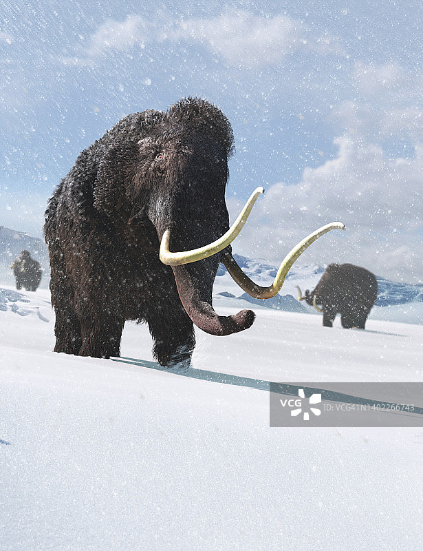 长毛猛犸象美术作品图片素材