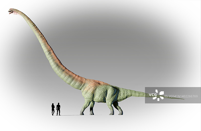 人类与马门溪龙对比图片素材