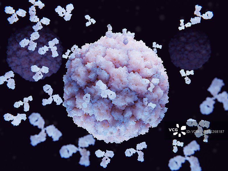 攻击鼻病毒的抗体，图解图片素材