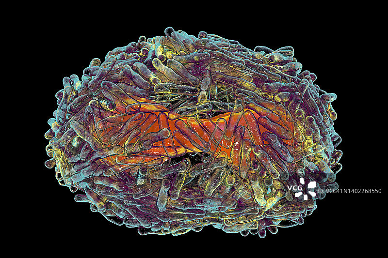 猴痘病毒颗粒图图片素材