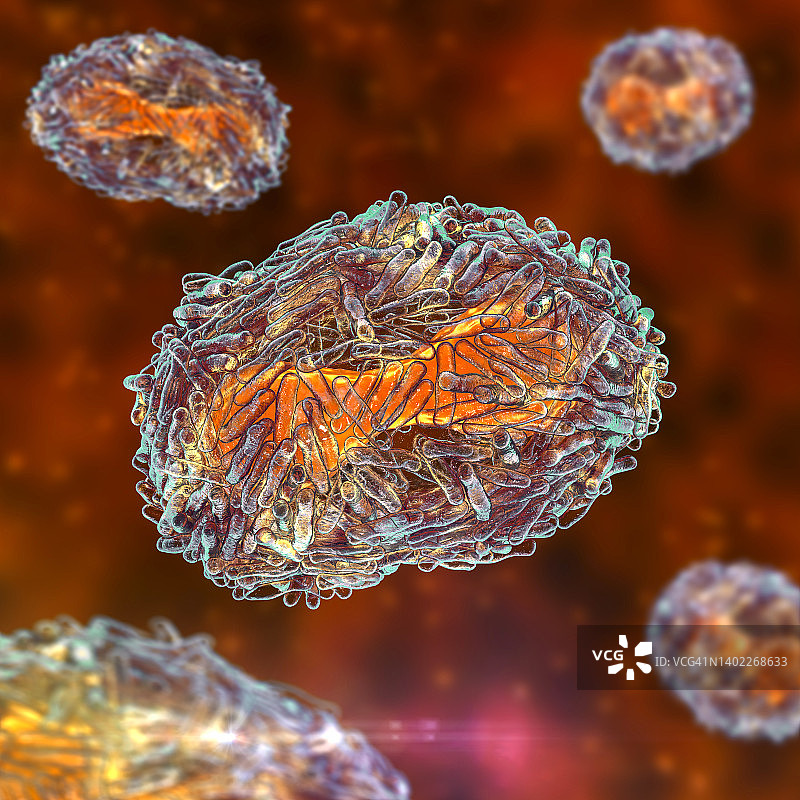 猴痘病毒颗粒图图片素材