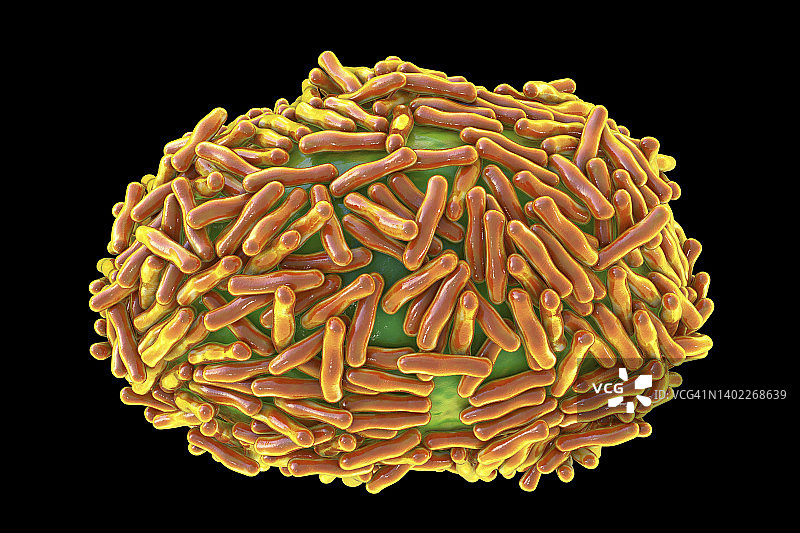 猴痘病毒颗粒图图片素材