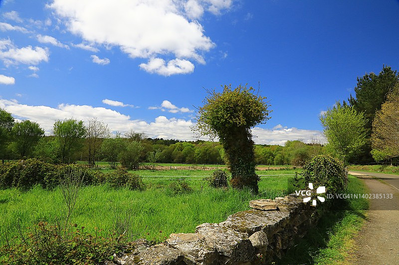 卡米诺小路沿途的乡村风光图片素材