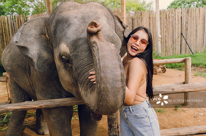 女人高兴地拥抱并与大象玩耍图片素材