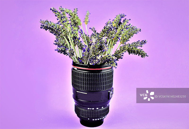 装满薰衣草的摄影镜头马克杯图片素材