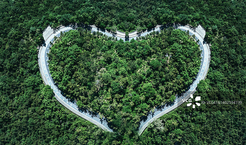 森林中蜿蜒的道路鸟瞰图片素材