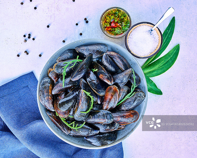 背景上各色贻贝和贝类图片素材